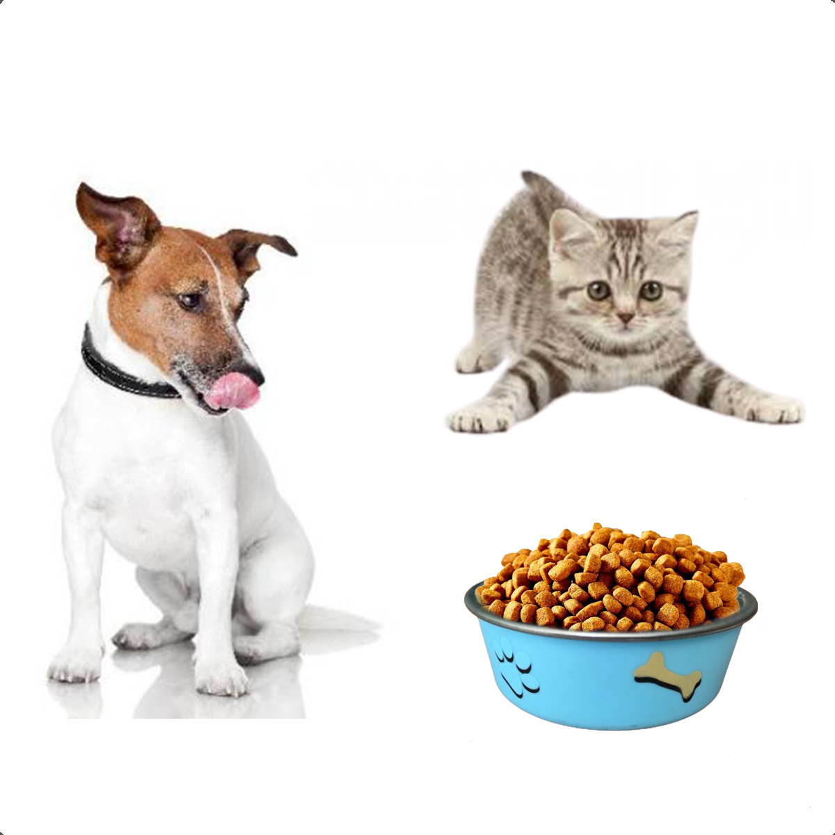 Comedouro Gato Cachorro Antiderrapante Premium Inox 800ml A