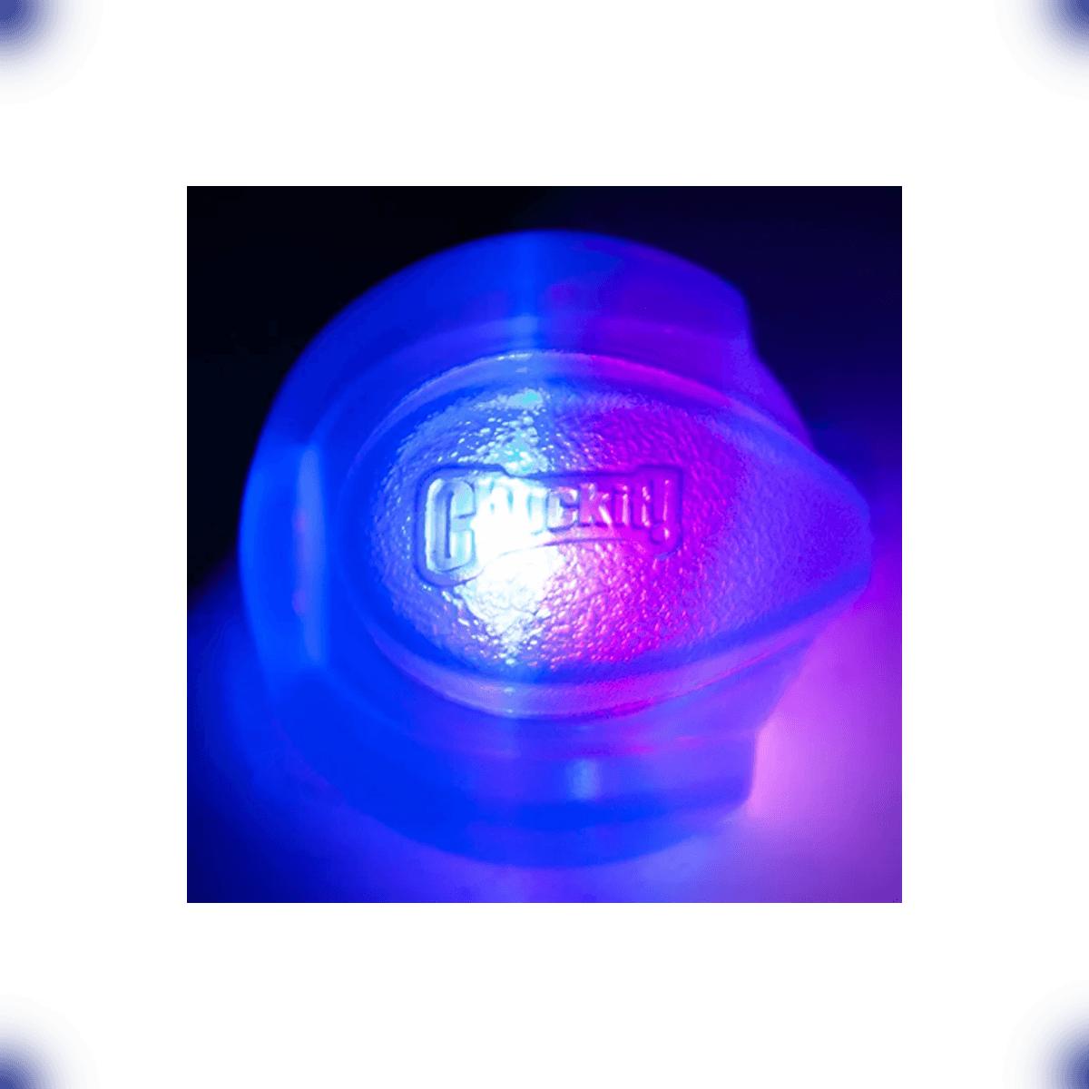 Brinquedo Pet Bolinha LED Brilhante Cães e Gatos ChuckIt