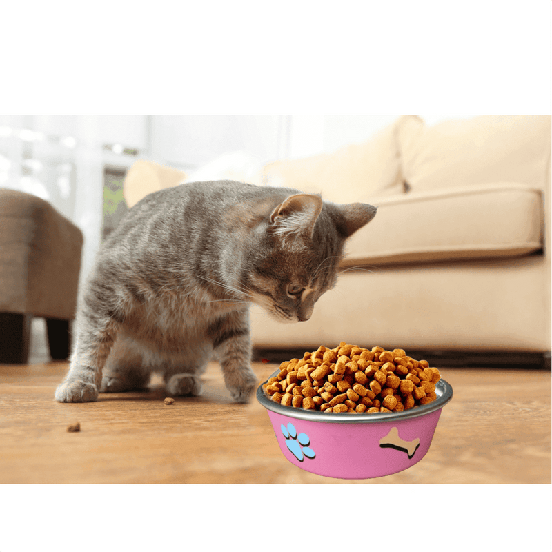 Comedouro Gato Cachorro Antiderrapante Premium Inox 800ml R