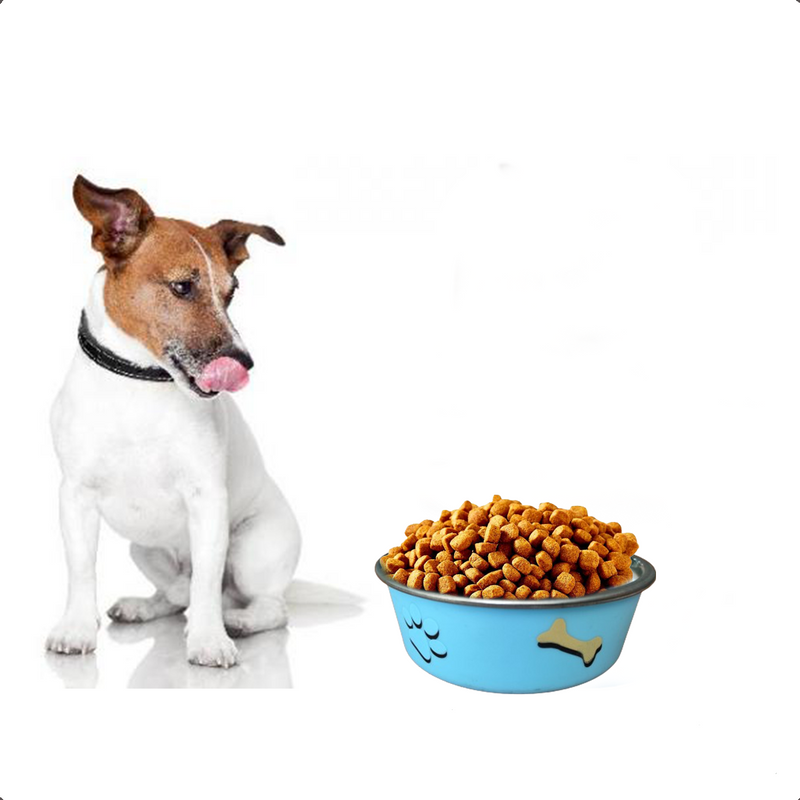 Comedouro Gato Cachorro Antiderrapante Premium Inox 800ml A