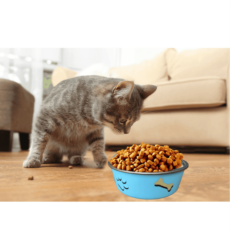 Comedouro Gato Cachorro Antiderrapante Premium Inox 800ml A