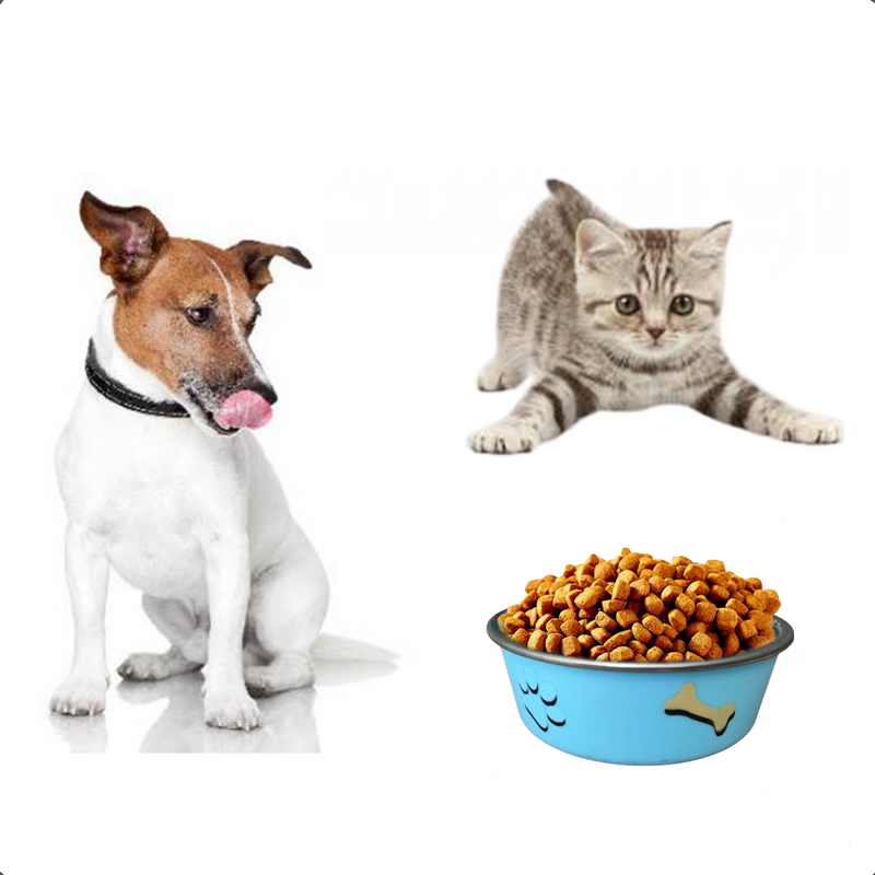 Comedouro Gato Cachorro Antiderrapante Premium Inox 800ml A