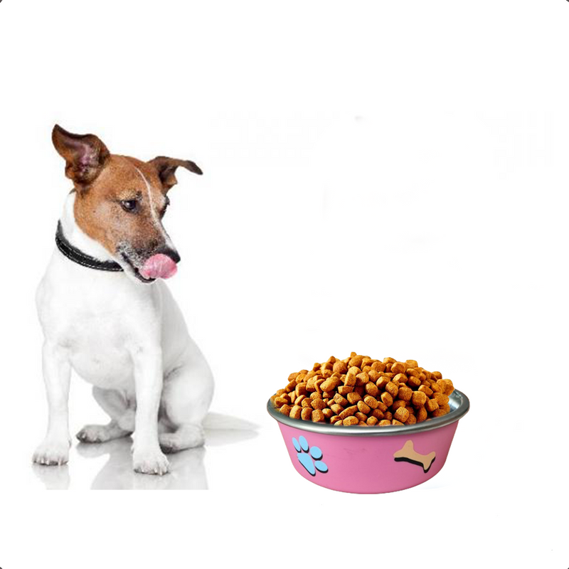 Comedouro Gato Cachorro Antiderrapante Premium Inox 800ml R