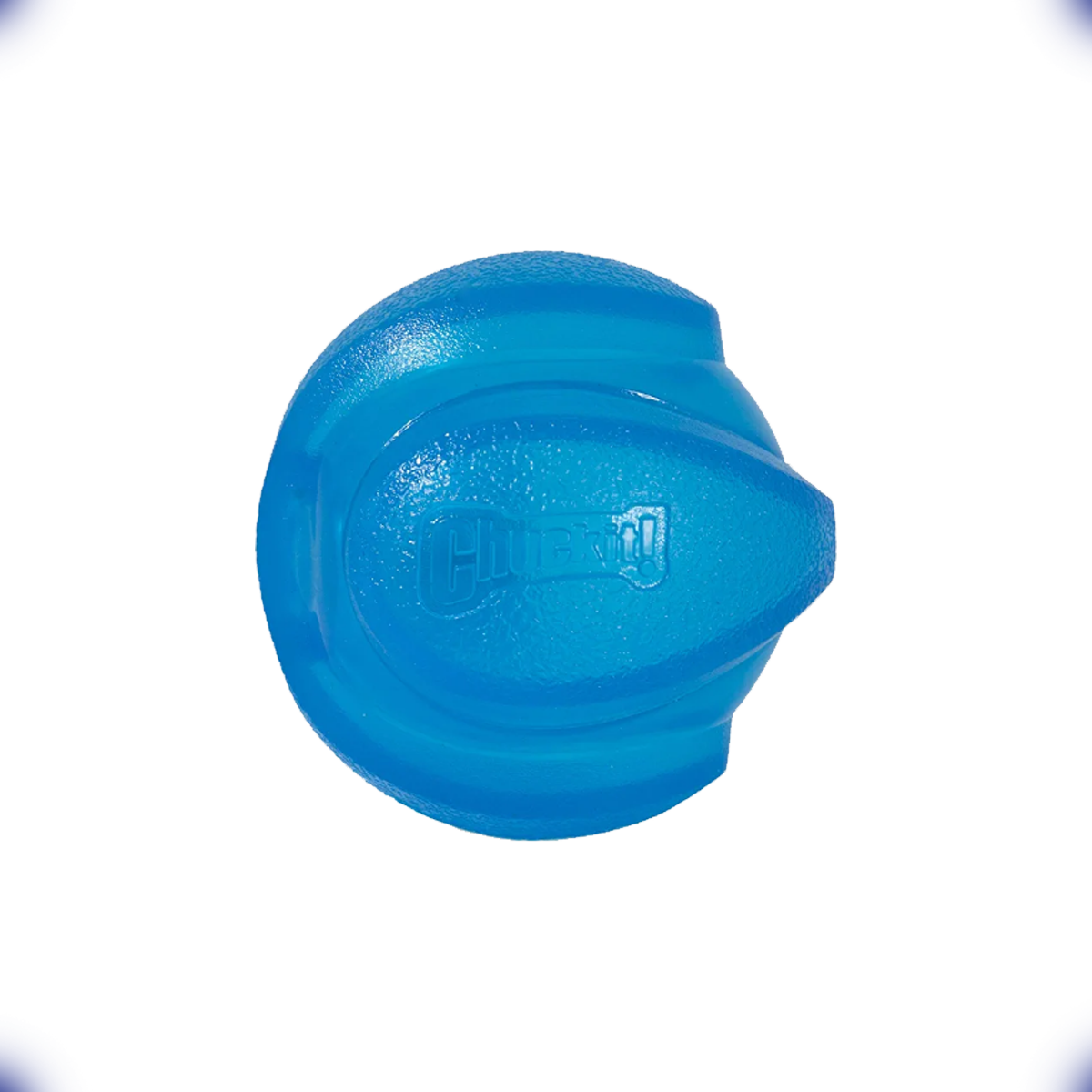 Brinquedo Pet Bolinha LED Brilhante Cães e Gatos ChuckIt