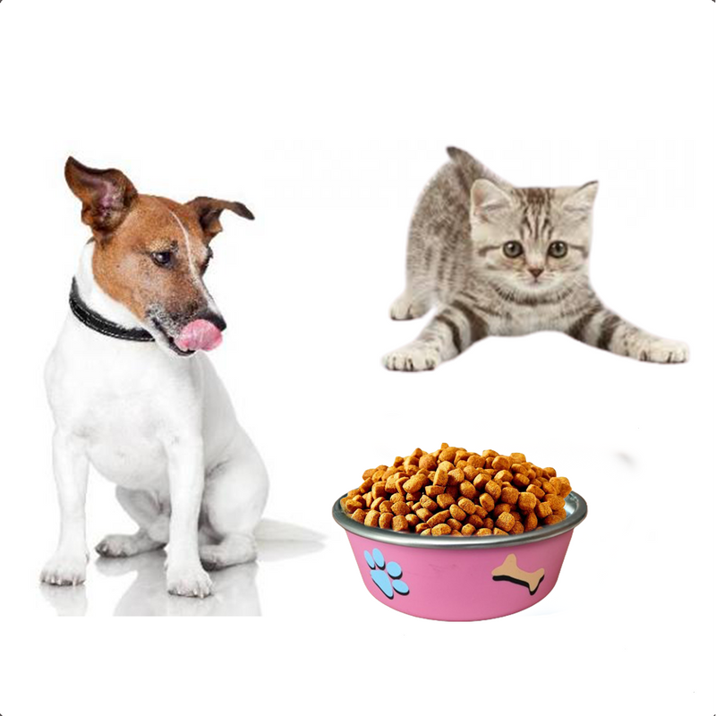 Comedouro Gato Cachorro Antiderrapante Premium Inox 800ml R