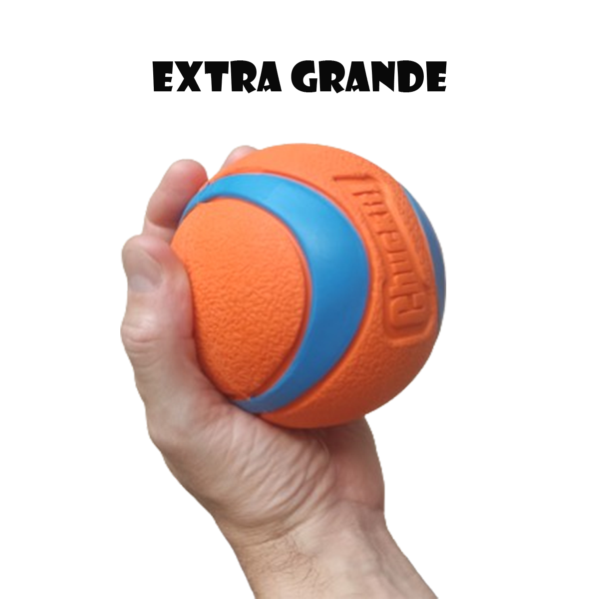 Brinquedo Pet Bolinha Gigante Cães e Gatos ChuckIt Americana