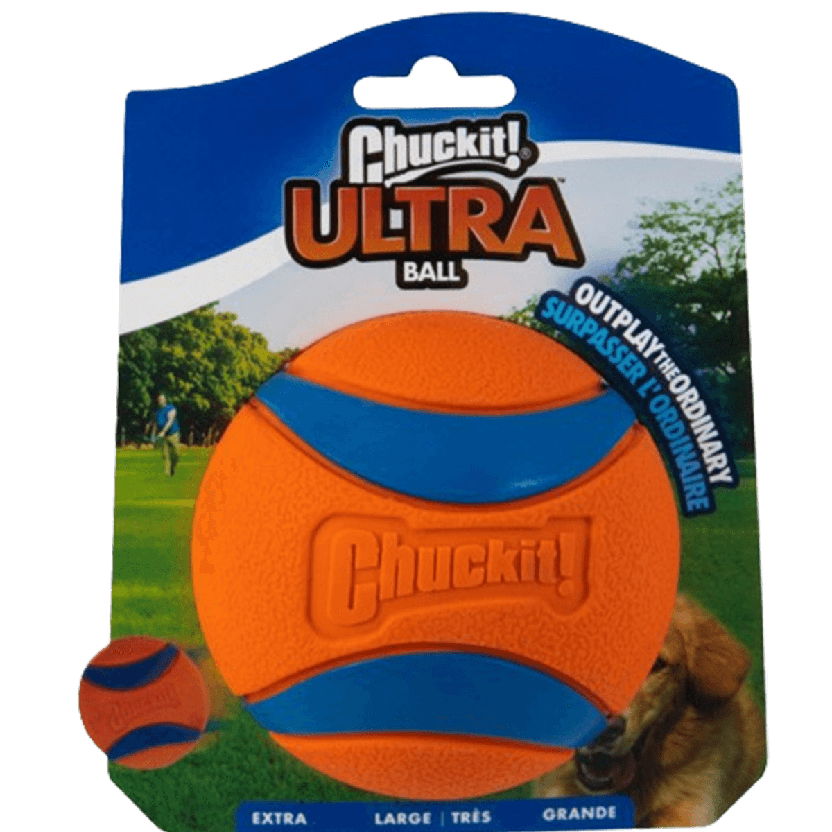 Brinquedo Pet Interativo Bolinha Borracha Grande ChuckIt