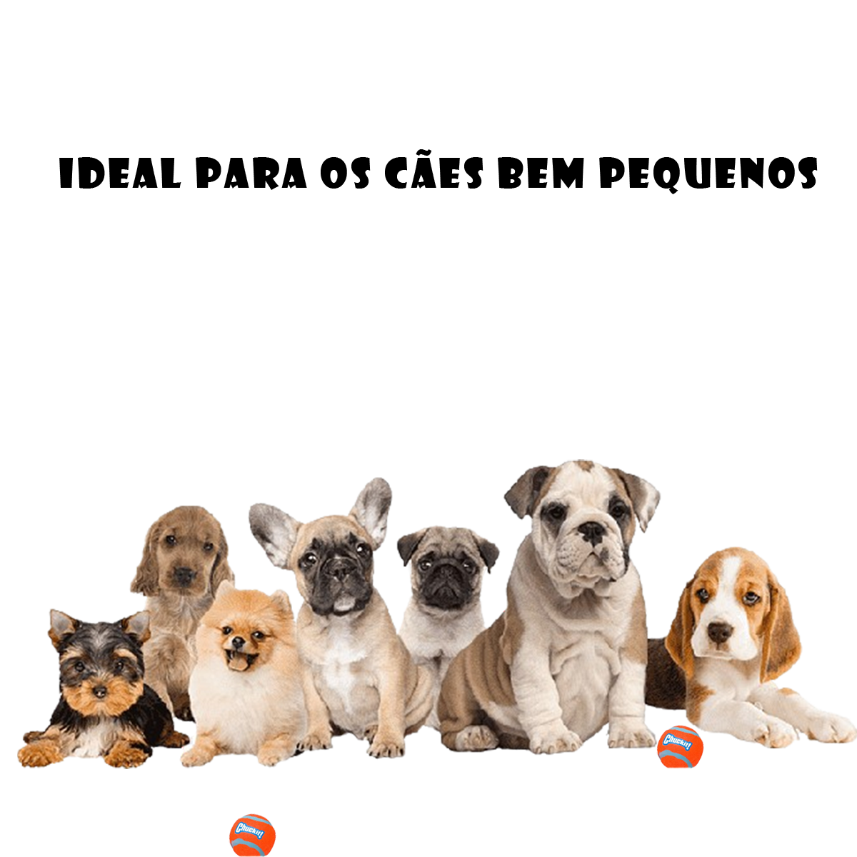 Brinquedo Mordedor Pet Cachorro Bola Tenis 2 unid Chuckit