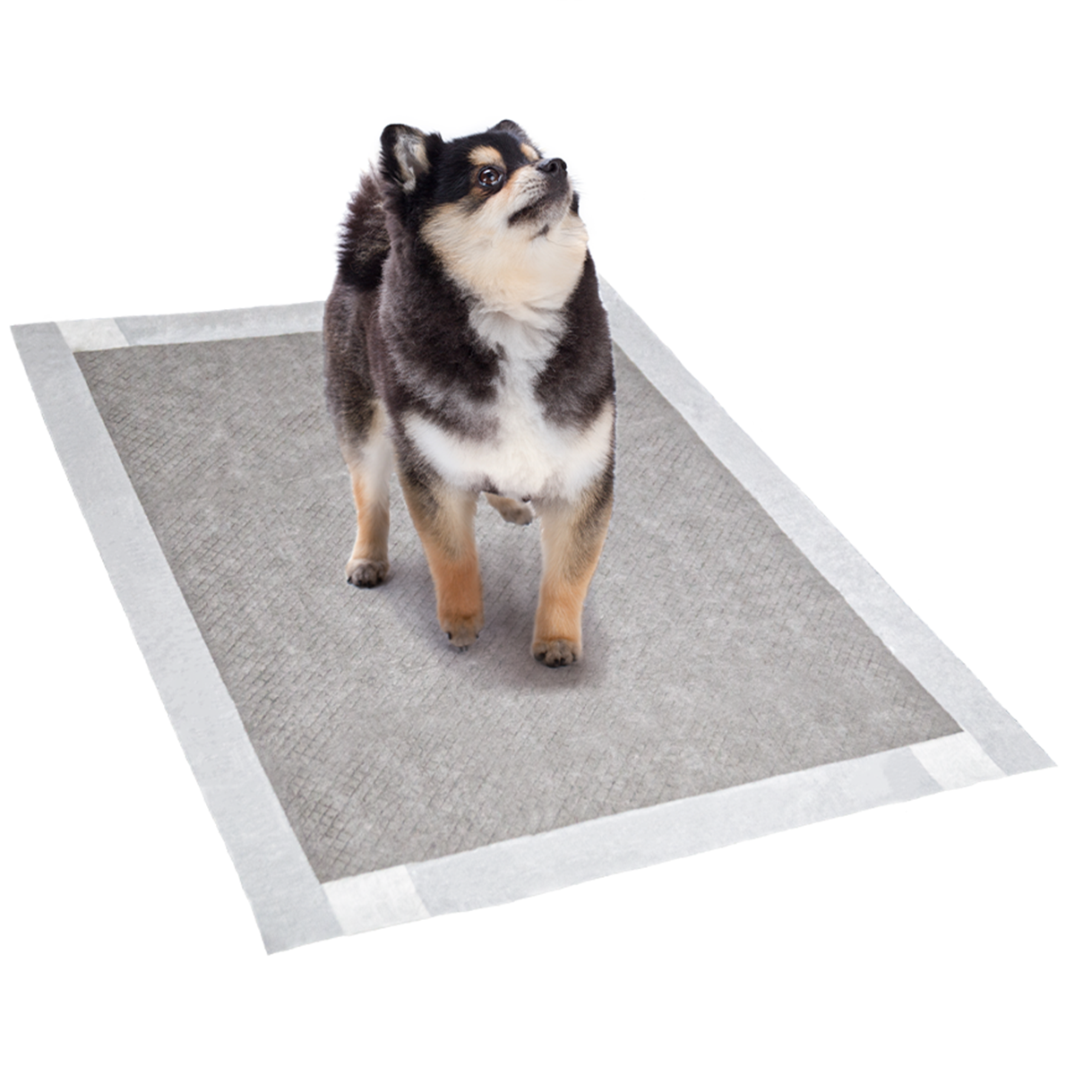 Tapete Higiênico Pet para Cães com Carvão Ativado 60x60 30u