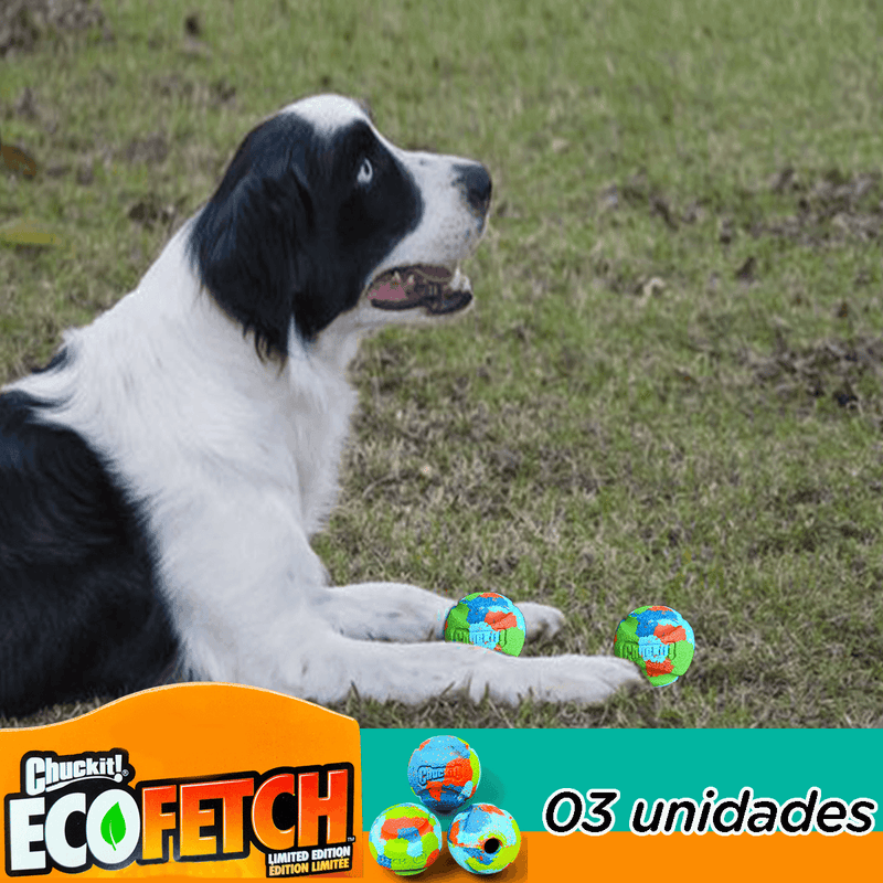 Brinquedo Pet Interativo Bolinha Borracha Sustentável material Reciclado 03 unidades